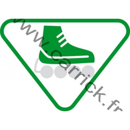 Badge lvtx Patineur - ENF