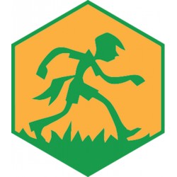 Badge éclaireur GSE - Jeu