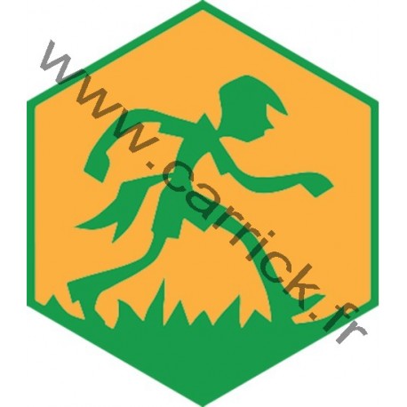 Badge éclaireur GSE - Jeu