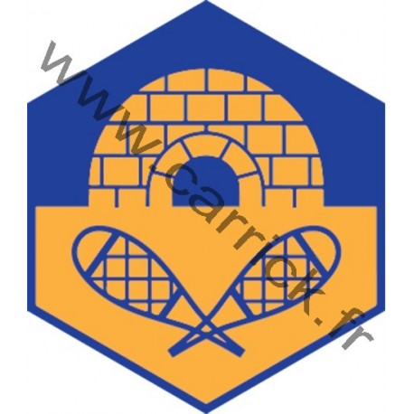 Badge éclaireur GSE - Grand Nord