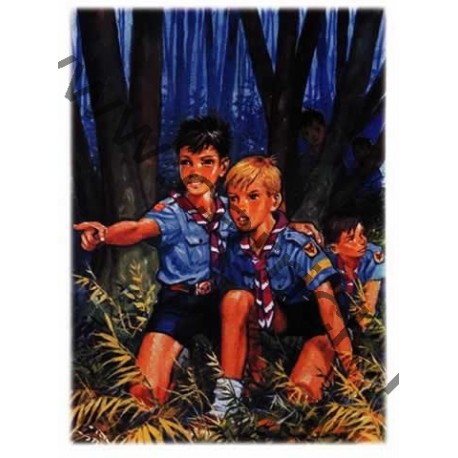 Poster Louveteaux