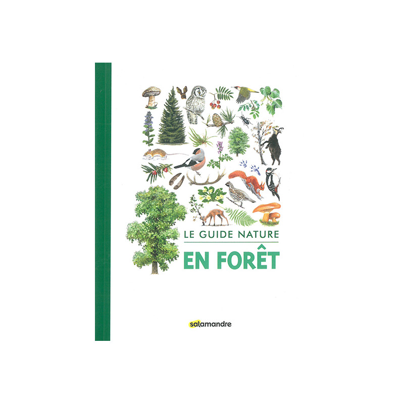 En forêt - guide nature