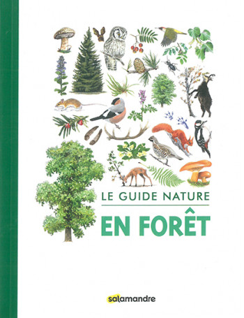 En forêt - guide nature