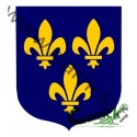 Ecusson - Ile de France - Tout mouvement - CARRICK France