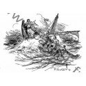 CP -  Tempête apaisée - CARRICK France