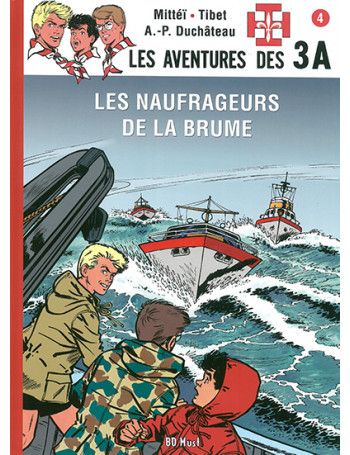 Les naufrageurs de la brume