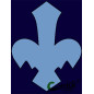 Fleur bleue  - hors GSE