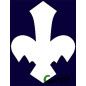Fleur blanche - hors GSE