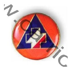 Insigne civil BNPS - CARRICK France