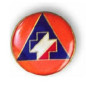 Insigne civil BNPS