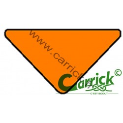 Triangle de sizaine orange - hors GSE - CARRICK France