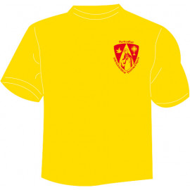 T.Shirt Sport JAUNE - école Saint Thomas