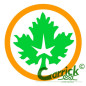 Badge scout - coureur des bois