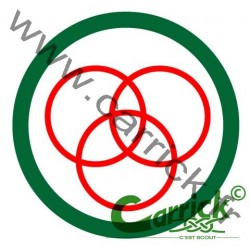 Badge scout - sportif - CARRICK France
