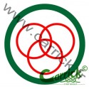 Badge scout - sportif - CARRICK France