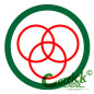 Badge scout - sportif