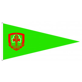 Flamme de camp vert ENF - CARRICK France
