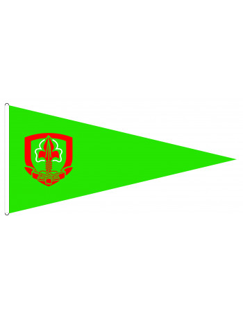 Flamme de camp vert ENF - CARRICK France