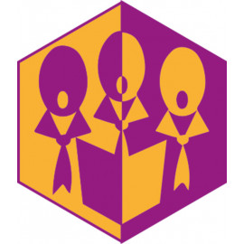 Badge éclaireur GSE - Chorale - CARRICK France