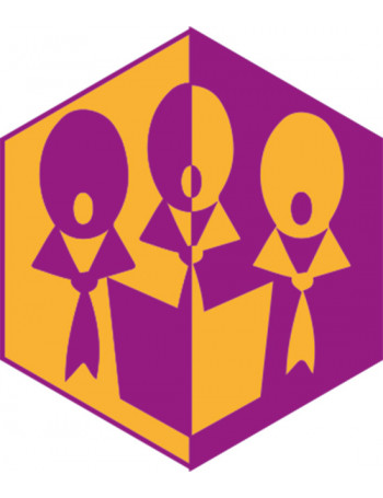 Badge éclaireur GSE - Chorale - CARRICK France