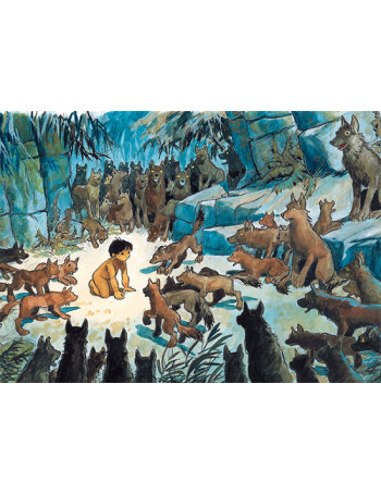 CP - L'accueil de Mowgli au Rocher du conseil - CARRICK France