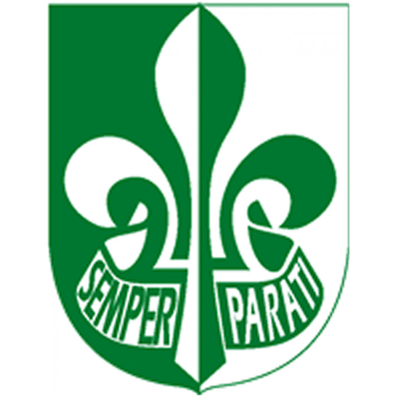 Insignes de 2° classe