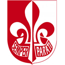 Insignes de 1° classe - CARRICK France