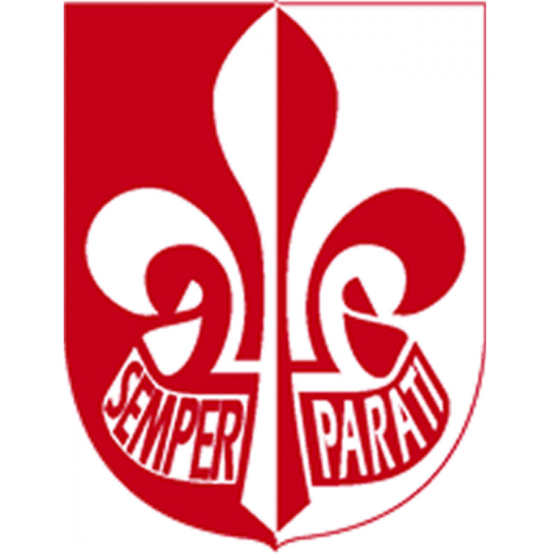 Insignes de 1° classe