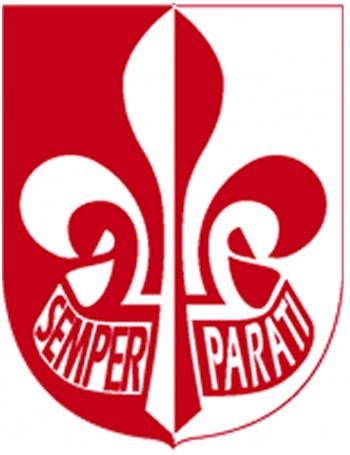 Insignes de 1° classe - CARRICK France