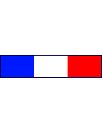 Bande FRANCE GSE - CARRICK France
