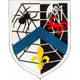 Ecusson réseau de l'araignée - CARRICK France
