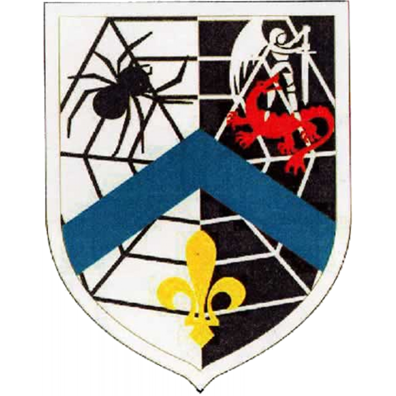 Ecusson réseau de l'araignée