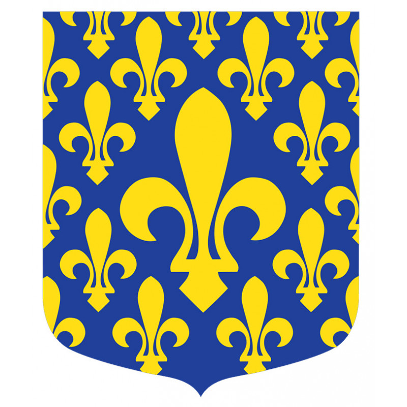 Ecusson - Ile de France - GSE