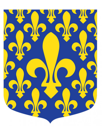 Ecusson - Ile de France - GSE