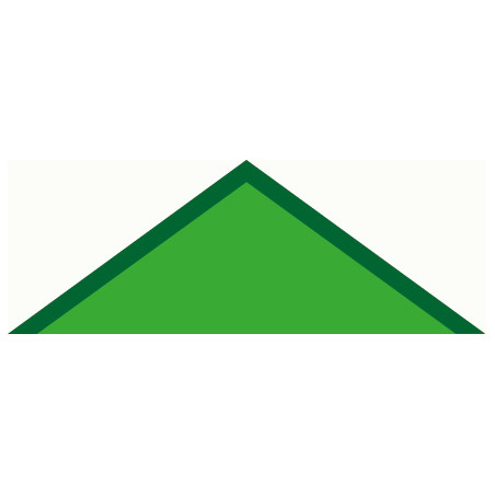 Foulard fond VERT CLAIR (VERT PRE)