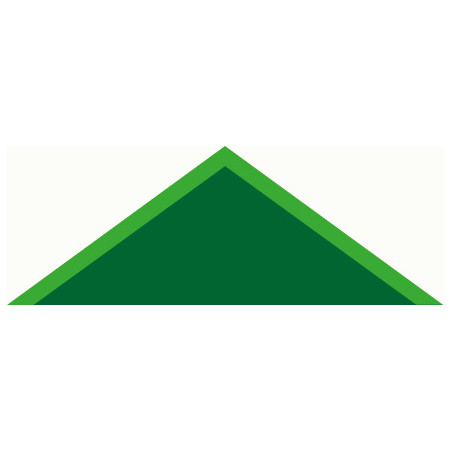 Foulard fond VERT FONCE