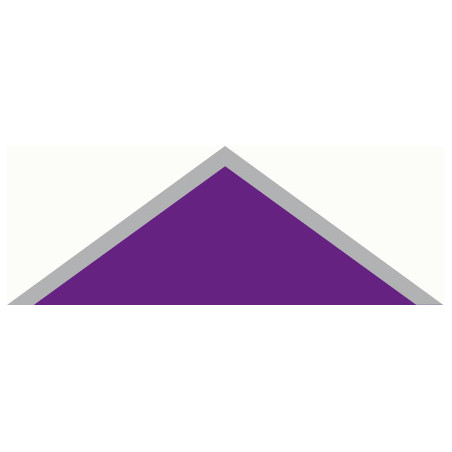 Foulard fond VIOLET