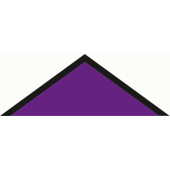 Foulard fond VIOLET