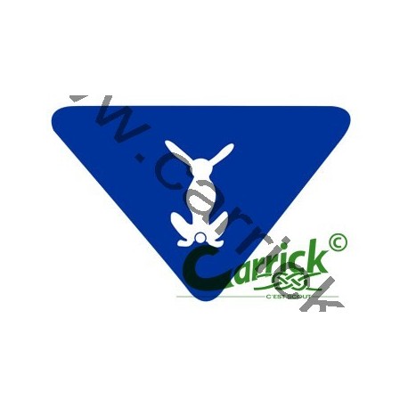 Badge lvt - Oeil ouvert