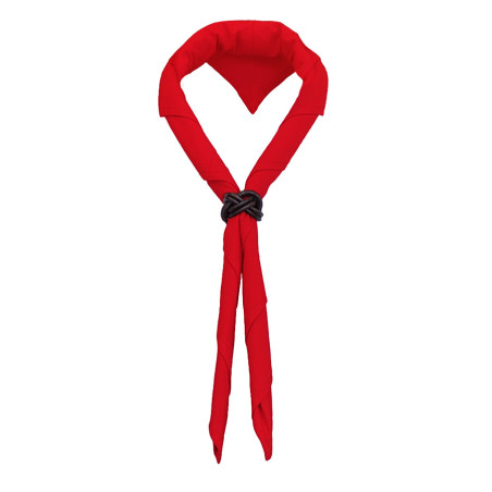 Foulard Rouge - CARRICK France