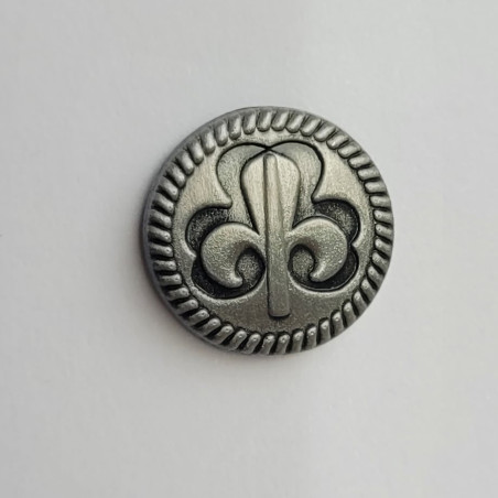 Insigne civil  FEE - CARRICK France