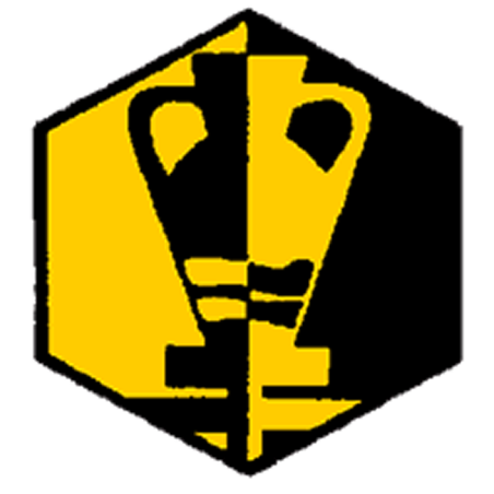 Badge éclaireur GSE - art du feu - CARRICK France