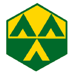 Badge éclaireur GSE - camp - CARRICK France