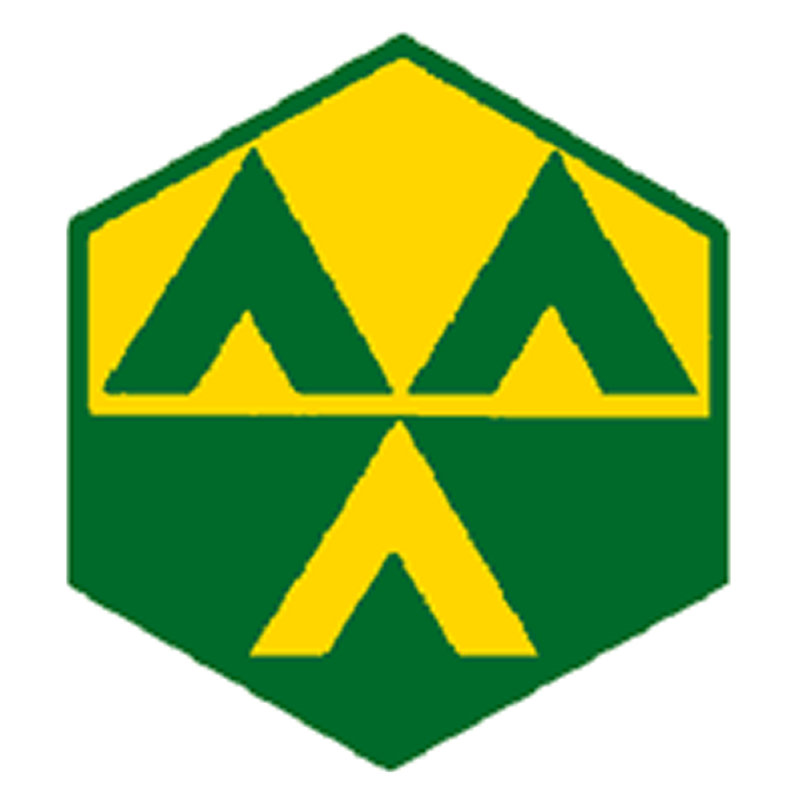 Badge éclaireur GSE - camp