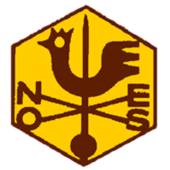 Badge éclaireur GSE - campagne - CARRICK France
