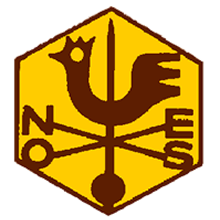 Badge éclaireur GSE - campagne - CARRICK France