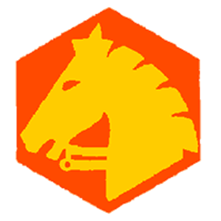 Badge éclaireur GSE - cheval - CARRICK France
