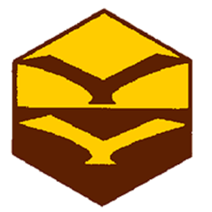 Badge éclaireur GSE - ciel - CARRICK France
