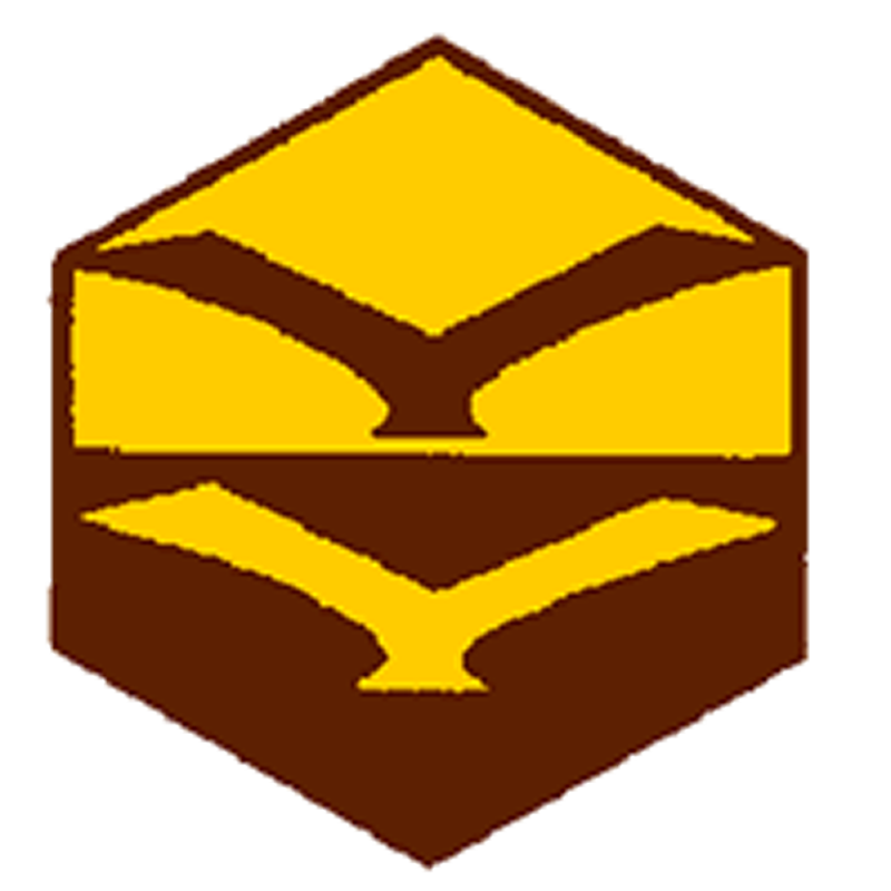Badge éclaireur GSE - ciel Badge éclaireur GSE - ciel