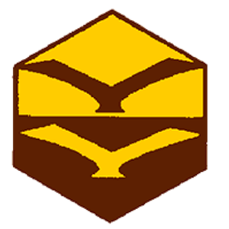 Badge éclaireur GSE - ciel - CARRICK France